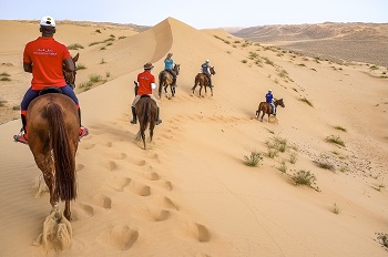 Gallops 7 1