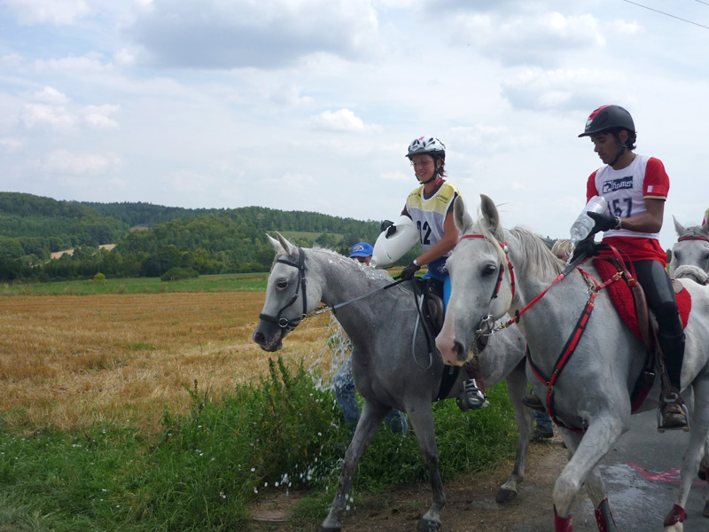 Andrea Iacchelli su Gustav Baio 2° nella 120 km CEI*** di Kreuth; Simona Garatti con Incandescente “best condition nella 160 km 1 Garattikrt 292