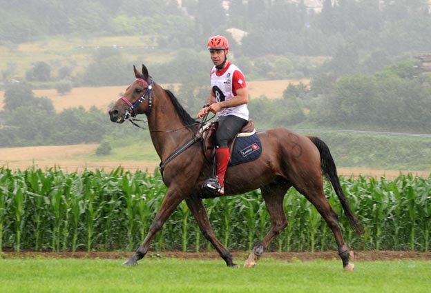 Gianluca Laliscia i b