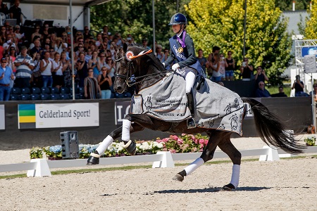 Dressage, Glamourdale campione del mondo nella categoria 7 anni 1 Glamourdale winner 7yo World Championships credits Hippofoto Dirk Caremans