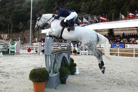 Grassi American