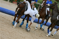 HORSE BALL 1
