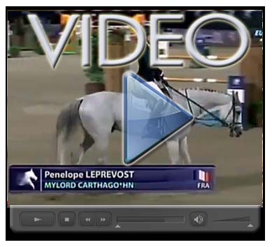 HSJ LOGO GP GCT VIENNA