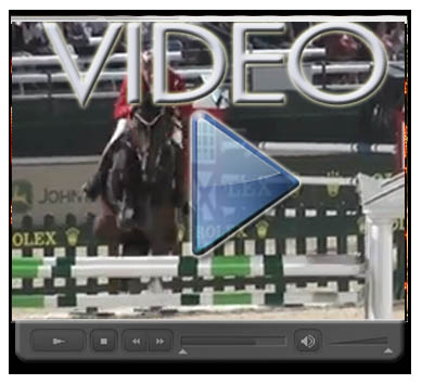 HSJ LOGO Hickstead