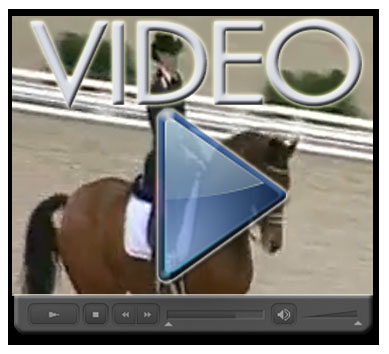 VIDEONEWS: Valentina Truppa nell'Olimpo del dressage 1 HSJ LOGO X Truppa Stuttgart