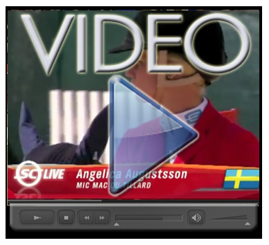 HSJ LOGO X video Augustsson