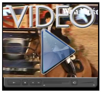 VIDEONEWS: finale Global Champions Tour 2011, ad Abu Dhabi sarà sfida Alexander/Beerbaum 1 HSJ LOGO X video GTC Cannes