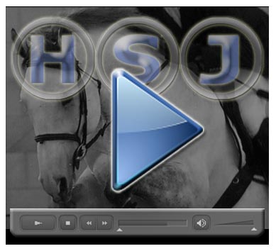 HSJ LOGO X video copia