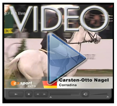 HSJ LOGO X video nagel