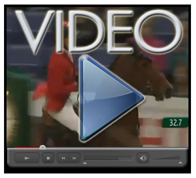 HSJ LOGO X video schwizer 1