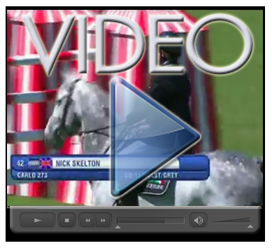 HSJ LOGO video Skelton