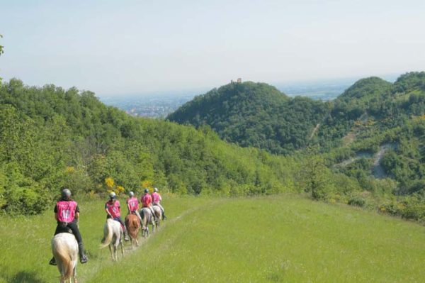 HSJ foto montechiarugolo