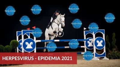 Herpes virus Epidemia 2021 Dott.ssa Carminiti