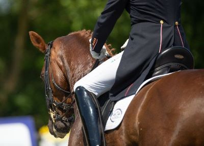 Campioni olimpici si dirigono a Hickstead per l'evento inaugurale della Premier League di dressage 1 I.C.E. Horseboxes All England Dressage Festival c JulianPortch.com