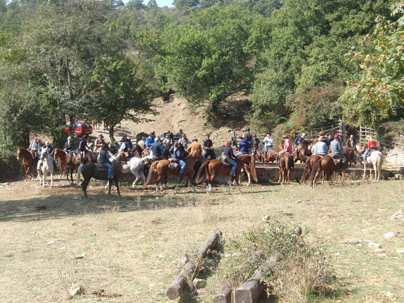 Nella Tuscia Viterbese rivive l’antico rito della transumanza 1 IMGTransumanza2