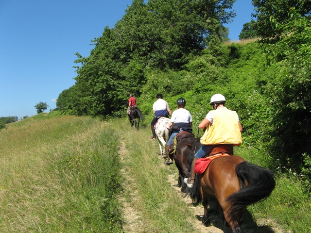Orizzonti tra storia e cultura sull'Appennino Modenese 1 IMG 5118 1