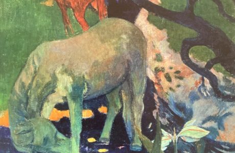Il cavallo bianco Gaugin