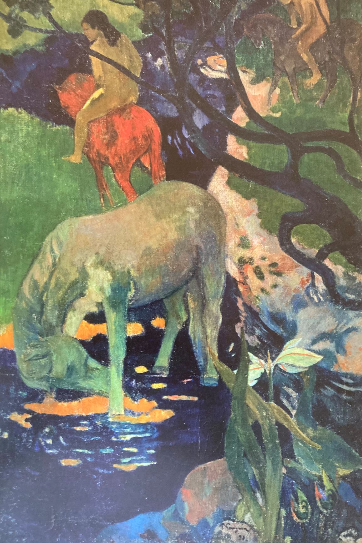 Paul Gauguin: il cavallo come simbolo di libertà nella Valle incantata di Tahiti 1 Il cavallo bianco Gaugin