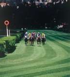 Ippodromo Merano 1