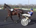 Ippodromo vincennes1 1 1