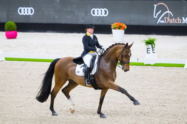 I cavalieri tedeschi di dressage a tutta forza al TDM 1 Isabell Werth Emilio DENB19L41398 0
