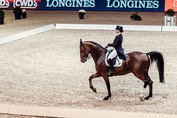 Isabell Werth GER Emilio FWC Lyon 2017 photo FEI Christophe Taniere 0