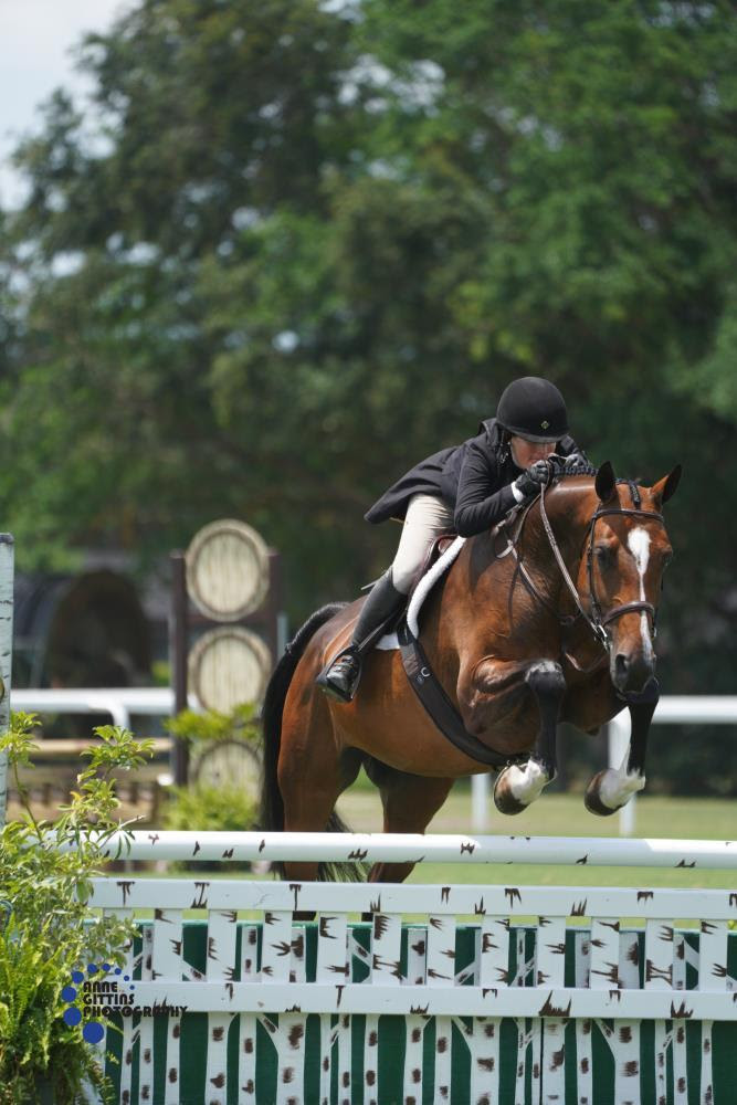 Jennifer Bliss e Flight Land vincono il $2,500 USHJA National Hunter Derby all'ESP Spring Serie di Wellington 1 Jennifer Bliss ©Anne Gittins Photography 0