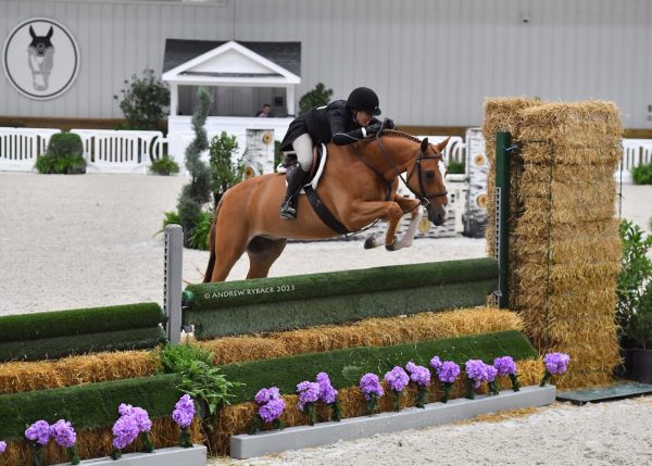 Jennifer Bliss & Poker Face. Photo courtesy of Andrew Ryback Photography - Golden Ocala Golf & Equestrian Club 3’6″-3’9″ Hunter Derby