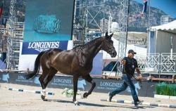 Monaco, Jumping International in Monte Carlo 1 Jumping International Monaco 1