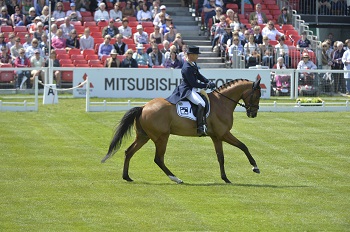 Eventing: Jung leads the way at Badminton Horse Trials. 1 JungM Bad16kh 0780A