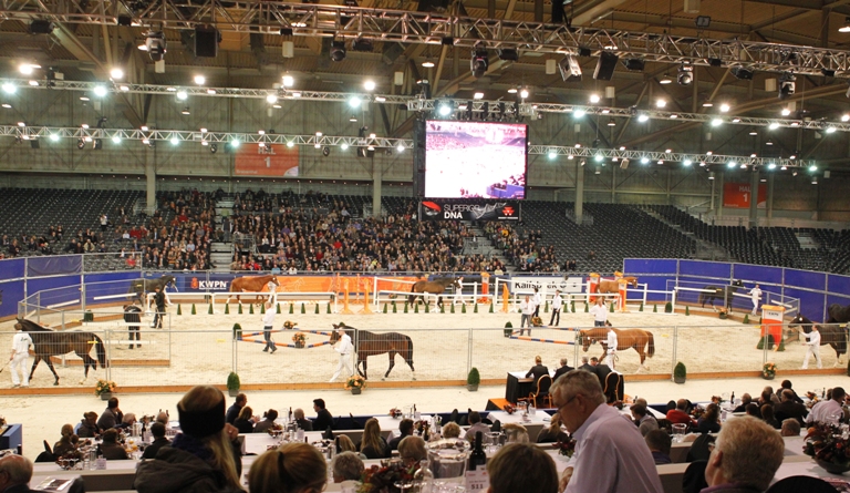 KWPN Stallion Show 2013