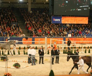 Events: KWPN Stallion Show set for next month 1 KWPN Stallion Show