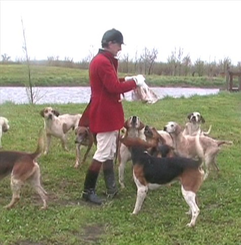 Great day of hunting at Cuzzago near Verbano 1 Kill Bisa G.B Litta Modignani. muta 2