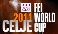 LOGO celje 2011