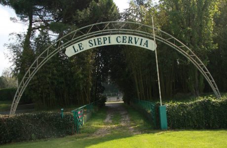Le Siepi di Cervia c
