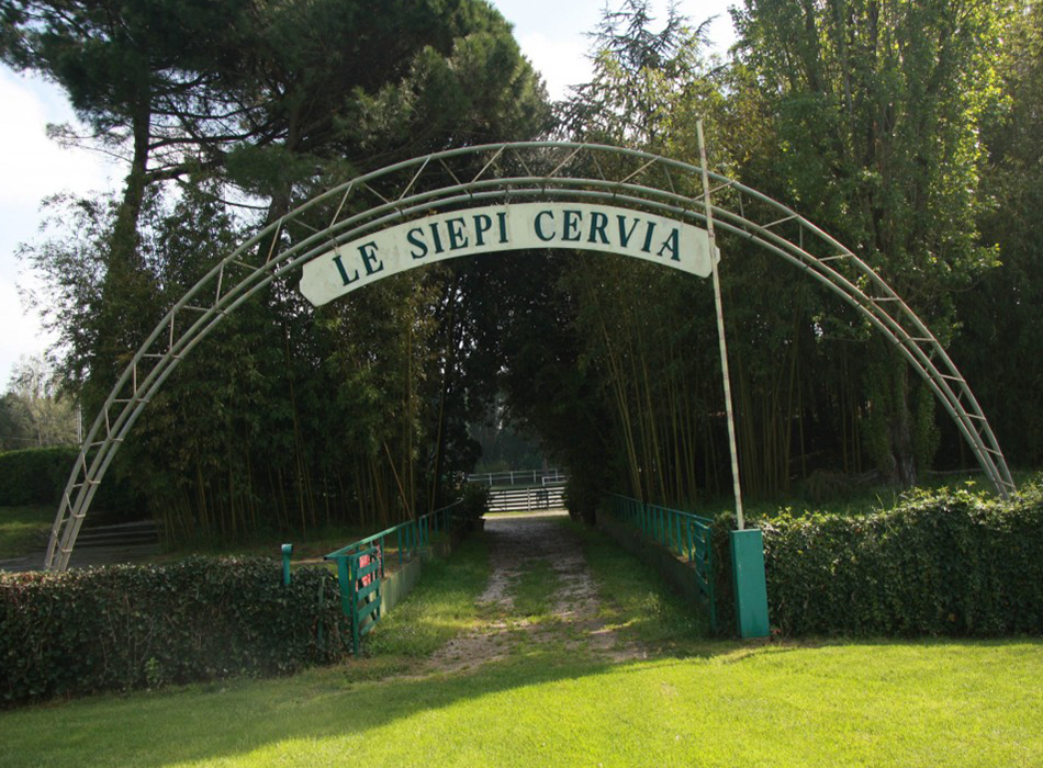 Le Siepi di Cervia: Campionato Amazzoni 2° grado, in vetta Nausicaa Pasqualini 1 Le Siepi di Cervia c
