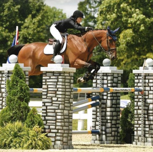 Longines Masters of New York to Feature the Inaugural IHSA Metropolitan Equitation Invitational 1 Lizzy Traband Photo Shawn McMillan