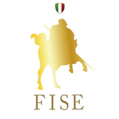Logo FISE 1