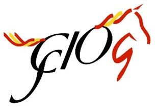 LogoCSIO2 GIGION