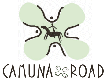 Logo Camuna Road 350
