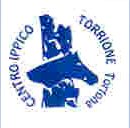 Logo il torrione 1