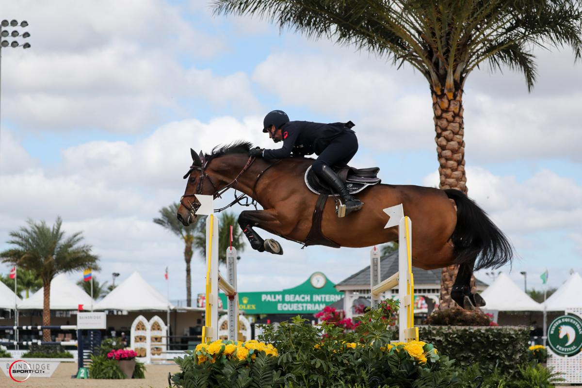 CSI5* Wellington: Lorenzo De Luca su Dirka De Blondel vince la Bainbridge Companies da 1.45m 1 Lorenzo De Luca pilots Dirka De Blondel to victory. © Sportfot 0