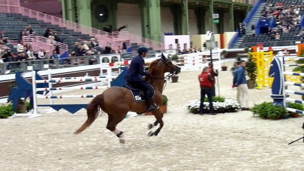 Lorenzo de Luca Hallifax van het Kluizebos
