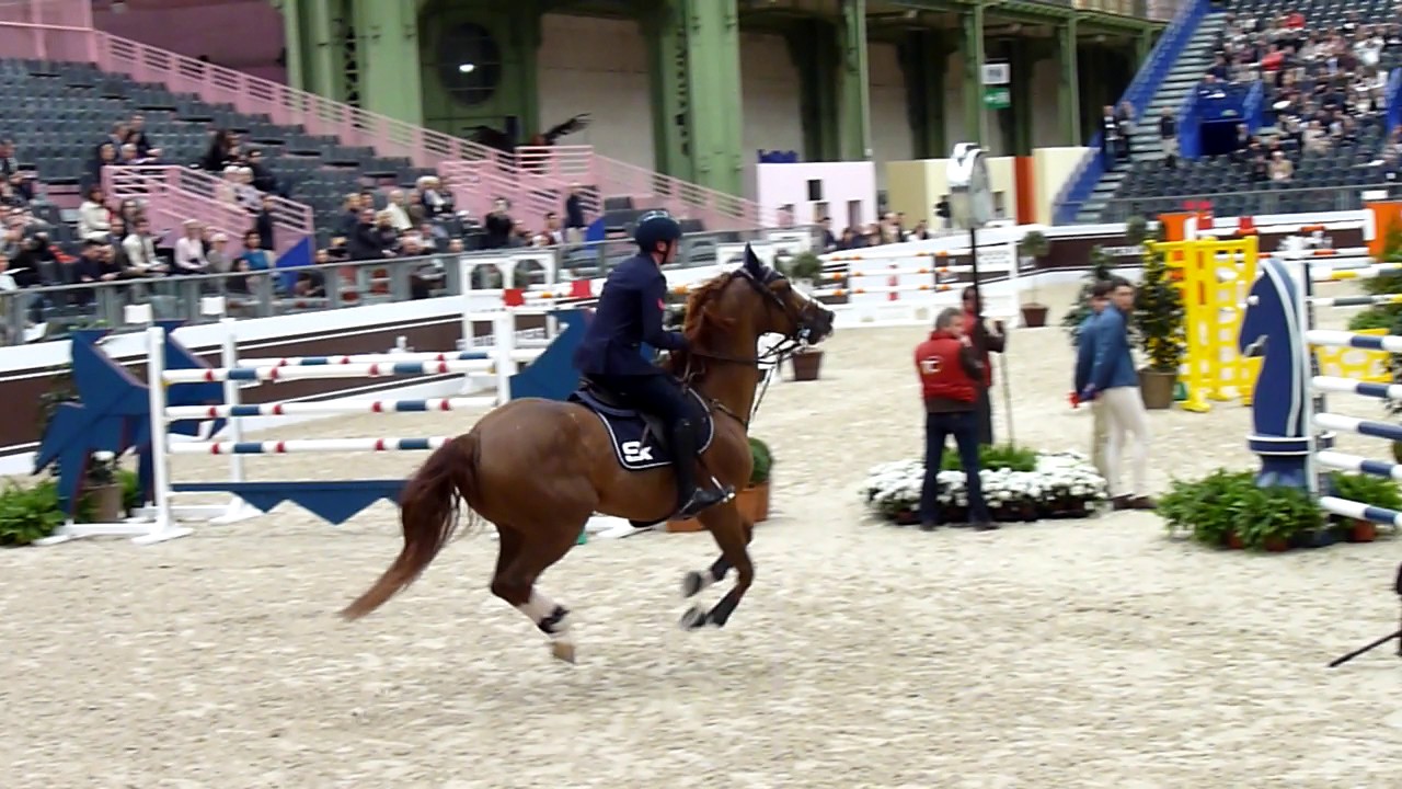 Longines GCT: De Luca vince in sella Hallifax van het Kluizebos 1 Lorenzo de Luca Hallifax van het Kluizebos