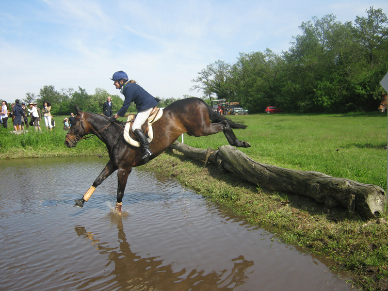 Le corse in Brughiera della Società Milanese per la Equitazione di campagna a Cavallo 1 M P Mirabella 010 Cross Cacce IMG 0479