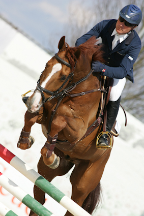 AREZZO EQUESTRIAN CENTRE: Brasile e Svezia sugli allori 1 MESSERSI 1