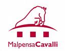 MalpensaCavalli 3