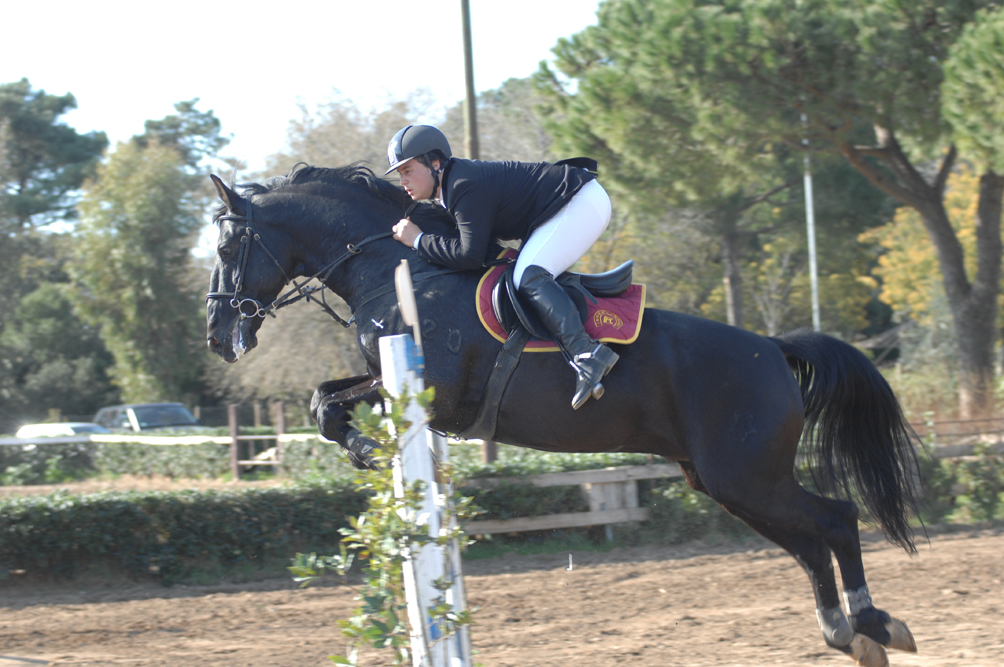 IL C.M. EQUITAZIONE HA ACCOLTO IERI LA QUINTA TAPPA DEL XXXV CAMPIONATO MAREMMANO 1 Matteo Manciati 0