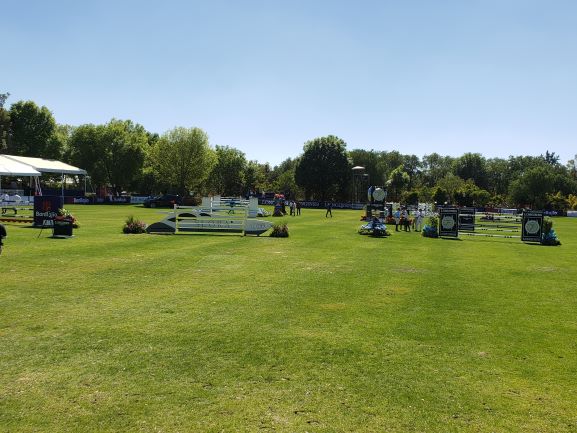 Mexico of green grass grand prix arena
