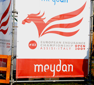 Meydan ok
